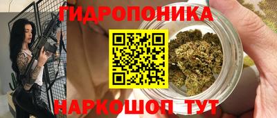 индика Комсомольск-на-Амуре