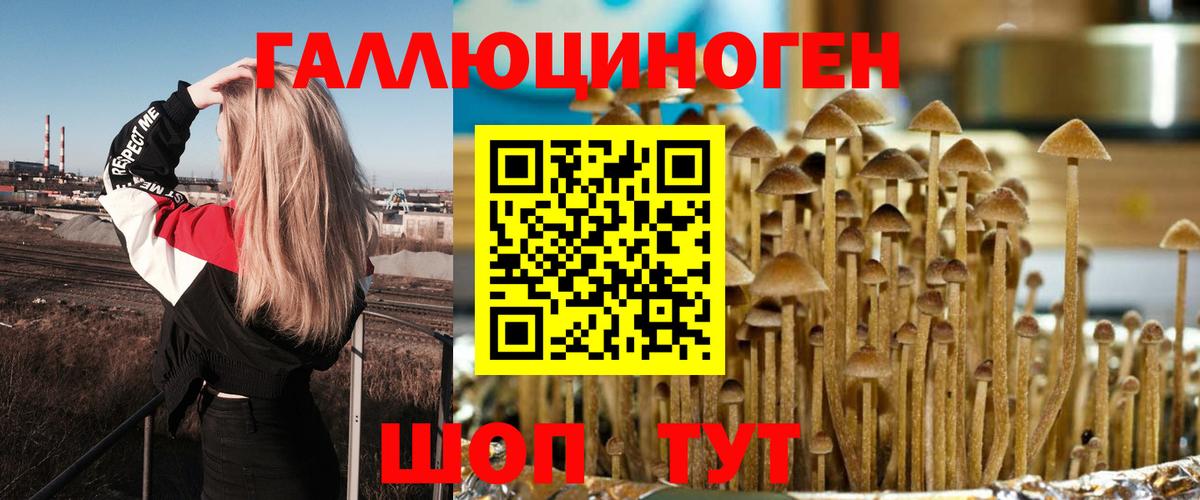 Псилоцибиновые грибы GOLDEN TEACHER Клинцы