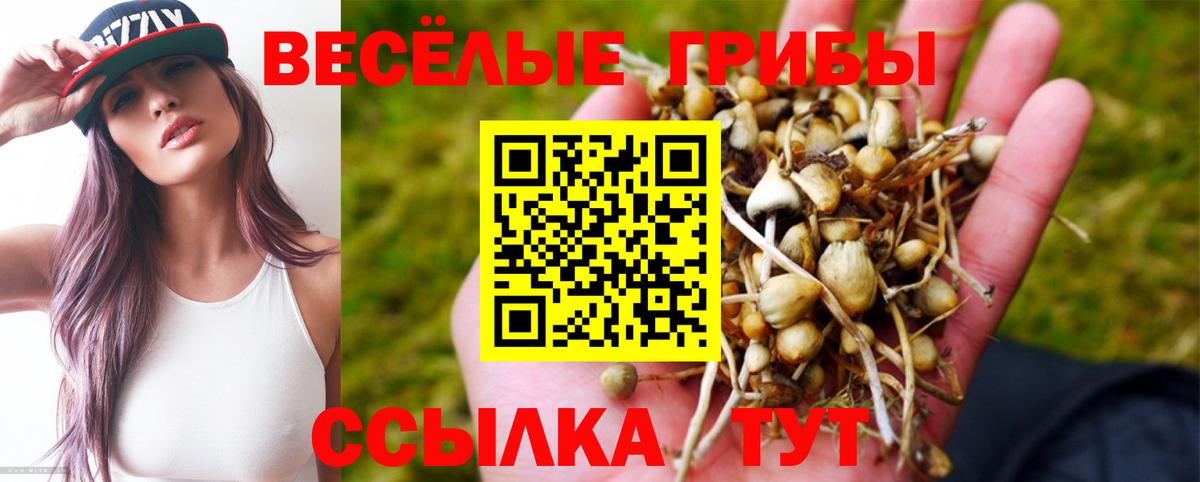 Клинцы  продажа наркотиков  Вход с VPN  Псилоцибиновые грибы MAGIC MUSHROOMS 